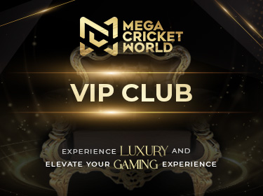 Mega Casino World VIP program